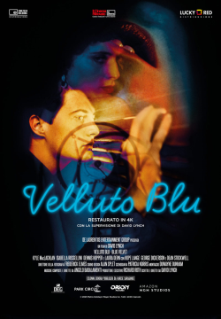 VELLUTO BLU (BLUE VELVET) - V.O.