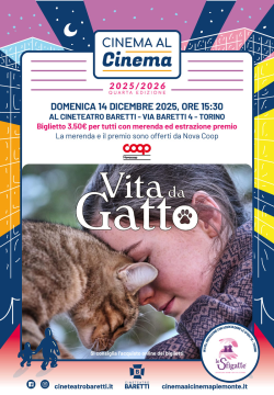 VITA DA GATTO