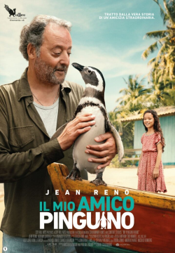 IL MIO AMICO PINGUINO.