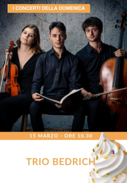 TRIO BEDRICH