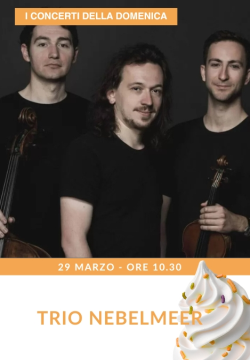TRIO NEBELMEER