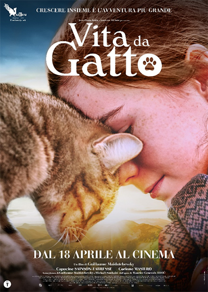 VITA DA GATTO