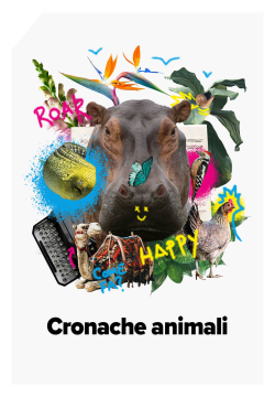 CRONACHE ANIMALI
