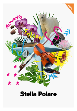 STELLA POLARE