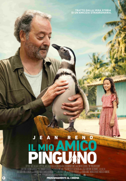 IL MIO AMICO PINGUINO