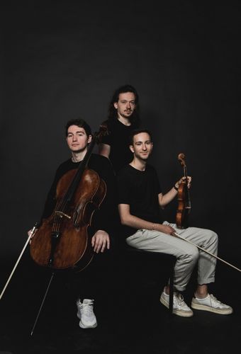 TRIO NEBELMEER
