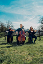 TRIO QUODLIBET